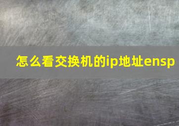 怎么看交换机的ip地址ensp