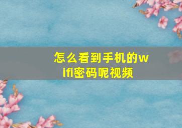 怎么看到手机的wifi密码呢视频