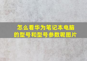 怎么看华为笔记本电脑的型号和型号参数呢图片