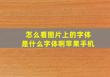 怎么看图片上的字体是什么字体啊苹果手机