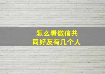 怎么看微信共同好友有几个人