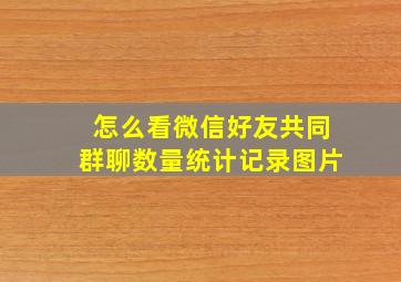 怎么看微信好友共同群聊数量统计记录图片