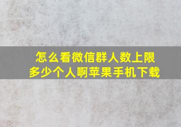 怎么看微信群人数上限多少个人啊苹果手机下载