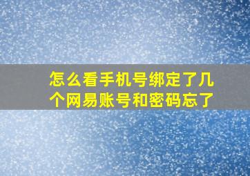 怎么看手机号绑定了几个网易账号和密码忘了