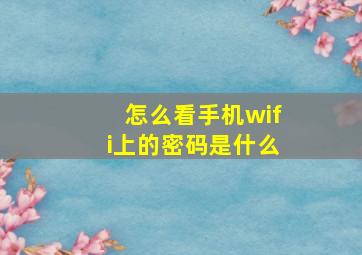 怎么看手机wifi上的密码是什么