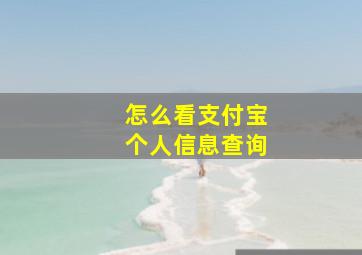 怎么看支付宝个人信息查询