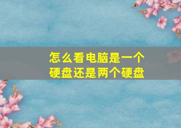 怎么看电脑是一个硬盘还是两个硬盘