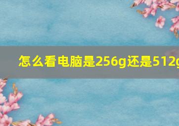 怎么看电脑是256g还是512g