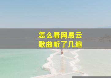 怎么看网易云歌曲听了几遍