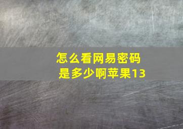 怎么看网易密码是多少啊苹果13