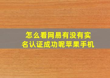 怎么看网易有没有实名认证成功呢苹果手机