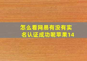 怎么看网易有没有实名认证成功呢苹果14