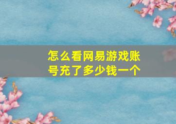 怎么看网易游戏账号充了多少钱一个