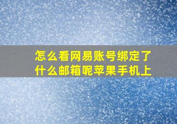 怎么看网易账号绑定了什么邮箱呢苹果手机上