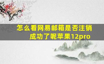 怎么看网易邮箱是否注销成功了呢苹果12pro