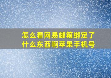 怎么看网易邮箱绑定了什么东西啊苹果手机号