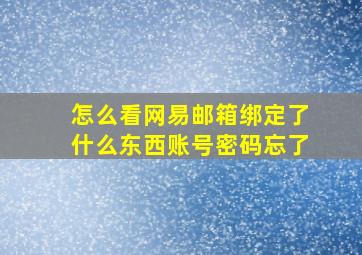 怎么看网易邮箱绑定了什么东西账号密码忘了