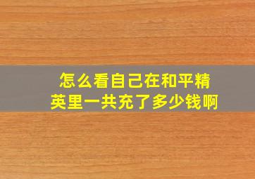 怎么看自己在和平精英里一共充了多少钱啊