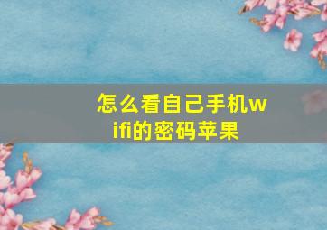 怎么看自己手机wifi的密码苹果