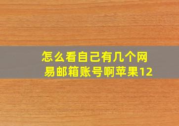 怎么看自己有几个网易邮箱账号啊苹果12