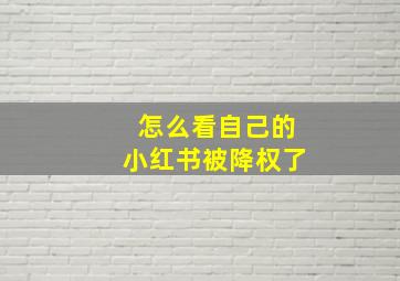 怎么看自己的小红书被降权了