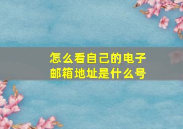 怎么看自己的电子邮箱地址是什么号