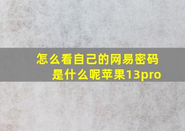 怎么看自己的网易密码是什么呢苹果13pro