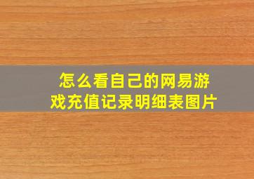 怎么看自己的网易游戏充值记录明细表图片