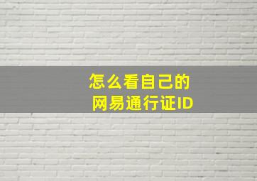 怎么看自己的网易通行证ID