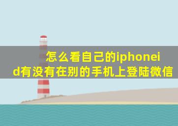 怎么看自己的iphoneid有没有在别的手机上登陆微信