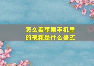 怎么看苹果手机里的视频是什么格式