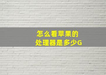 怎么看苹果的处理器是多少G