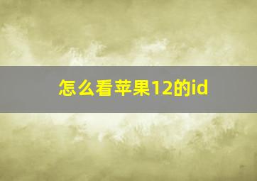 怎么看苹果12的id