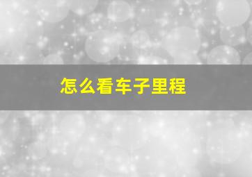 怎么看车子里程