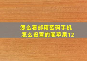 怎么看邮箱密码手机怎么设置的呢苹果12