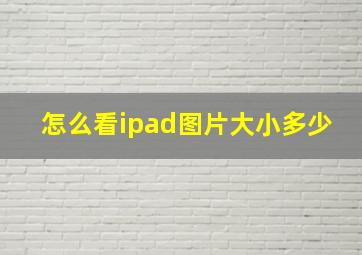 怎么看ipad图片大小多少