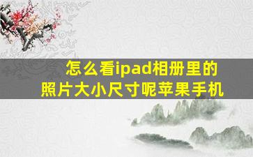 怎么看ipad相册里的照片大小尺寸呢苹果手机