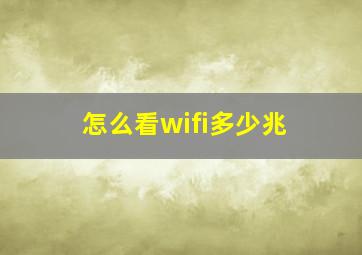 怎么看wifi多少兆