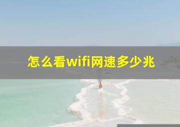 怎么看wifi网速多少兆