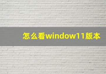 怎么看window11版本