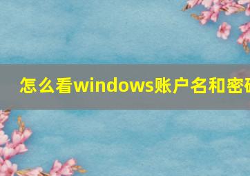 怎么看windows账户名和密码