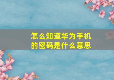 怎么知道华为手机的密码是什么意思