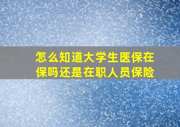 怎么知道大学生医保在保吗还是在职人员保险