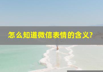 怎么知道微信表情的含义?