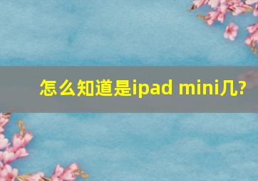 怎么知道是ipad mini几?