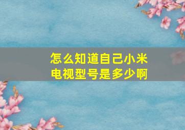 怎么知道自己小米电视型号是多少啊