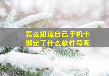 怎么知道自己手机卡绑定了什么软件号呢