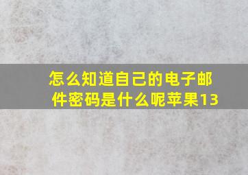 怎么知道自己的电子邮件密码是什么呢苹果13