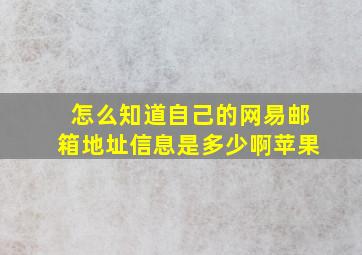 怎么知道自己的网易邮箱地址信息是多少啊苹果