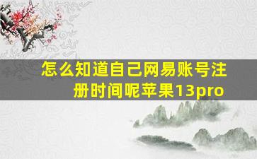 怎么知道自己网易账号注册时间呢苹果13pro